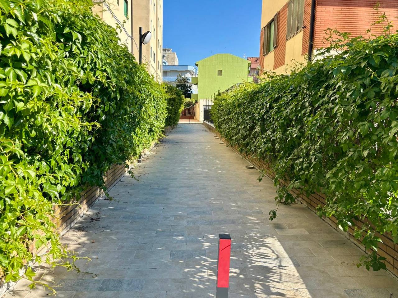 immagine annuncio 12 di 14