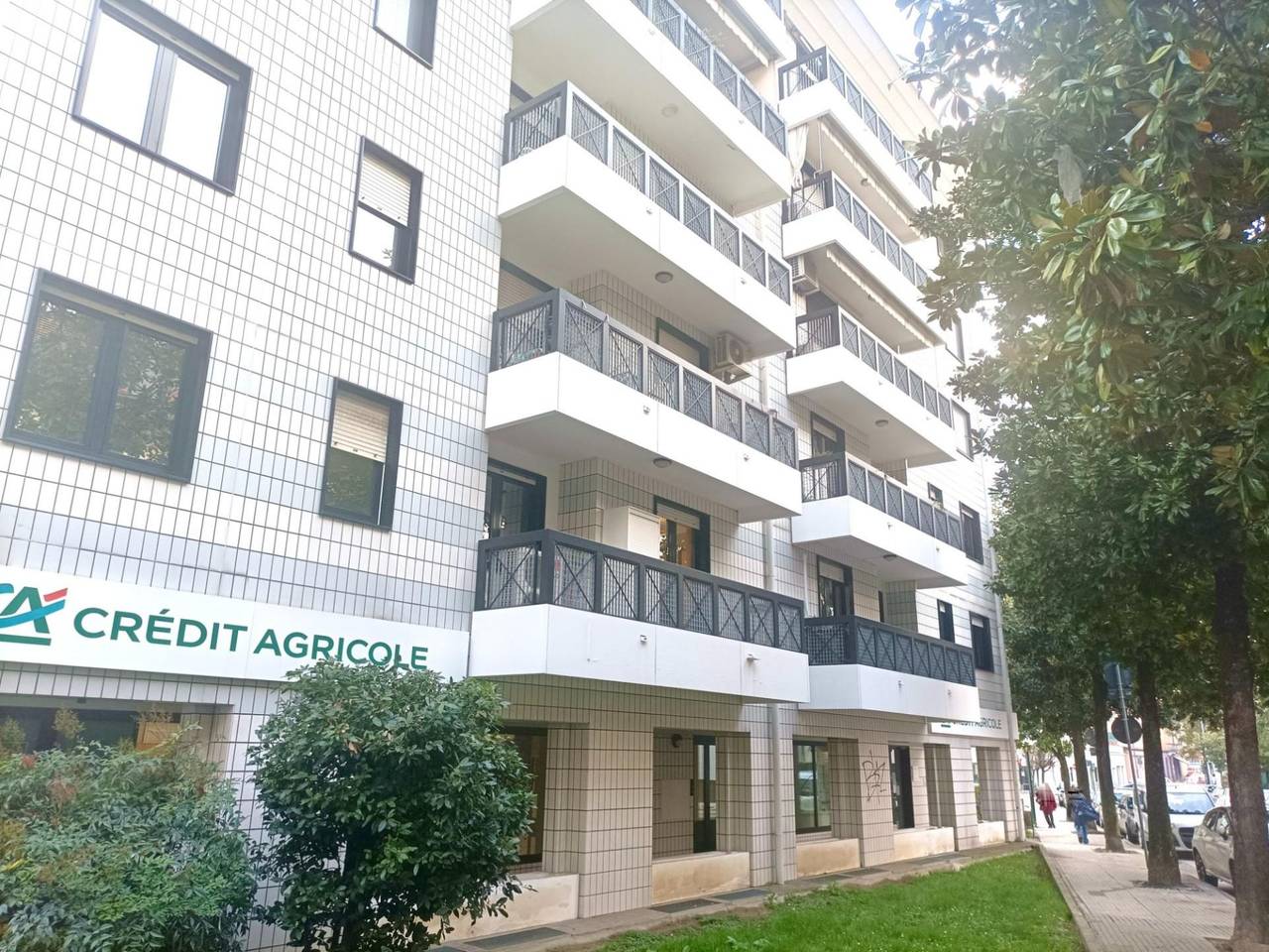 immagine annuncio 1 di 14