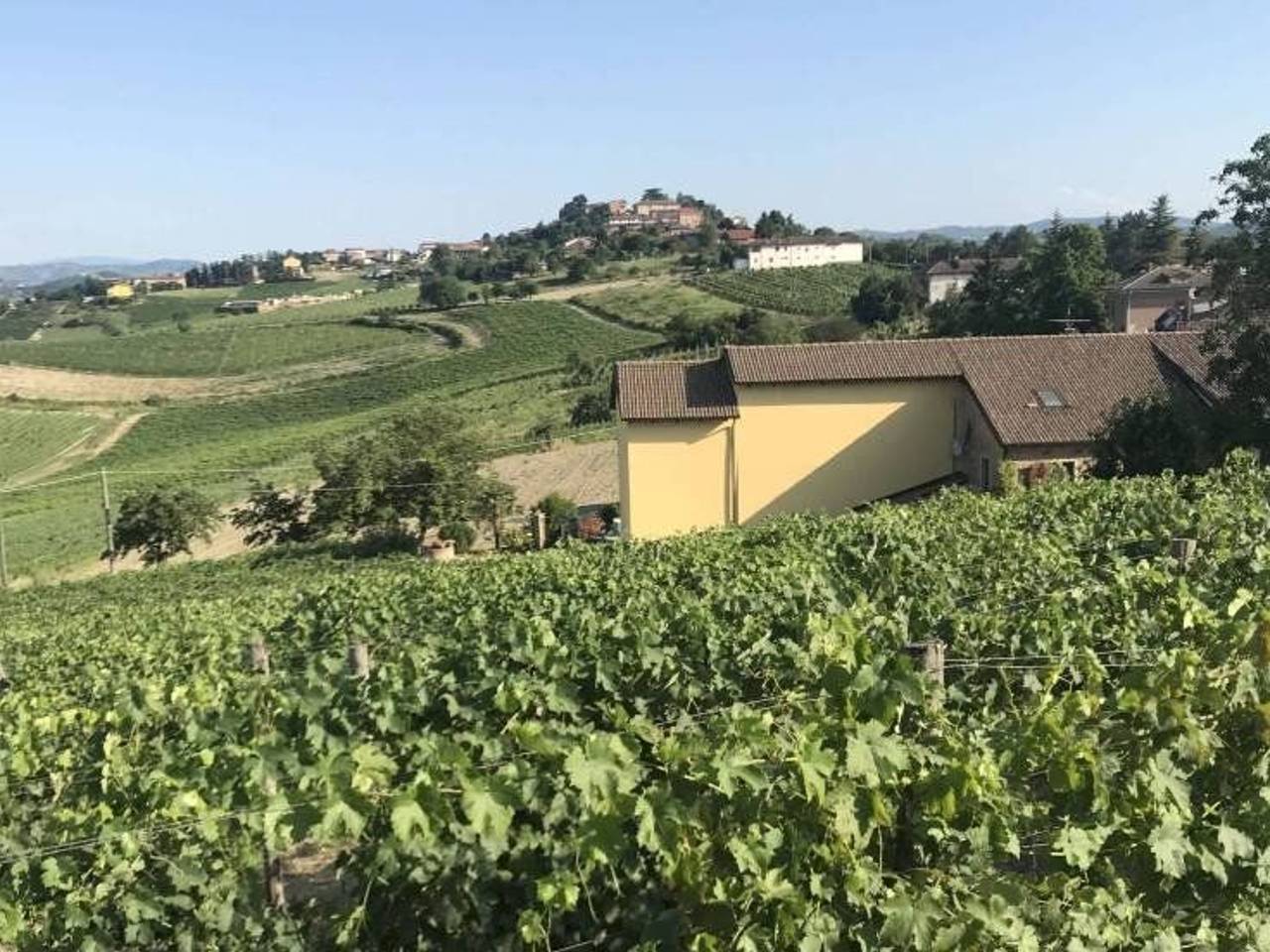 immagine annuncio 4 di 14