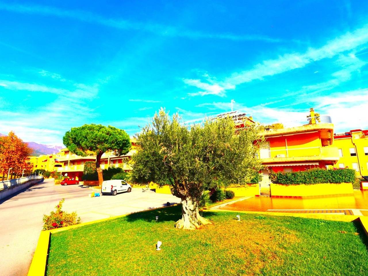 immagine annuncio 2 di 12