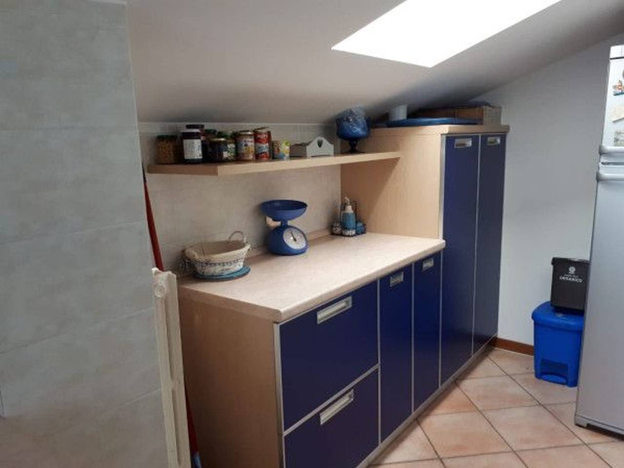 immagine annuncio 7 di 14