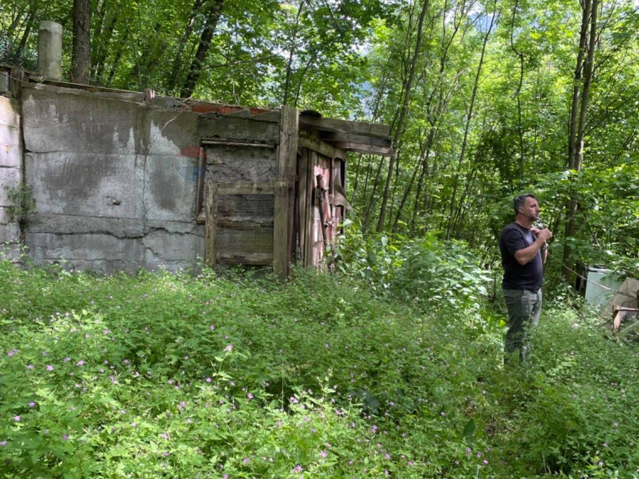 immagine annuncio 1 di 8