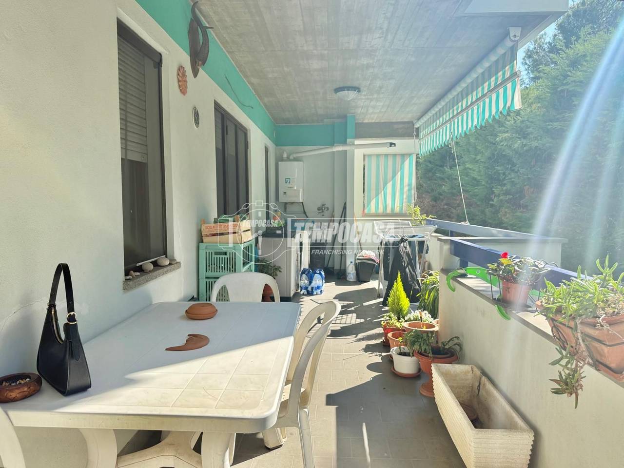 immagine annuncio 1 di 4