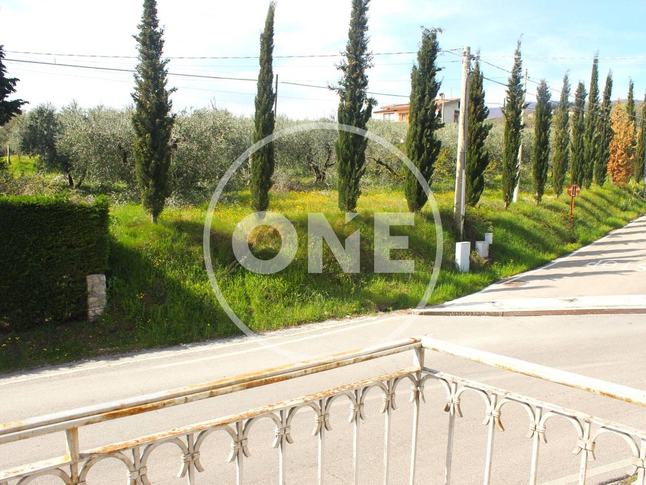 immagine annuncio 8 di 12