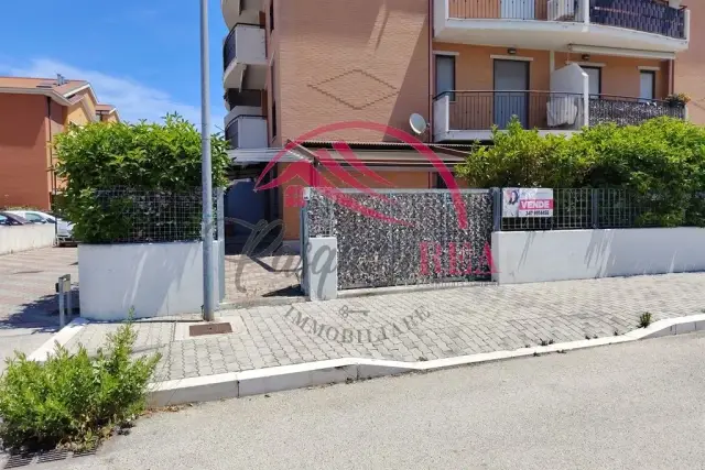 insertion image