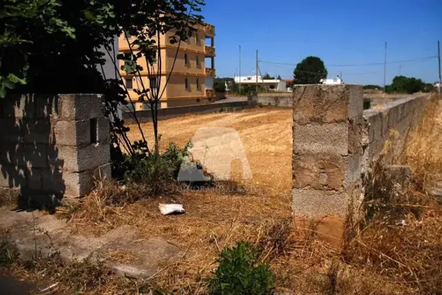 insertion image