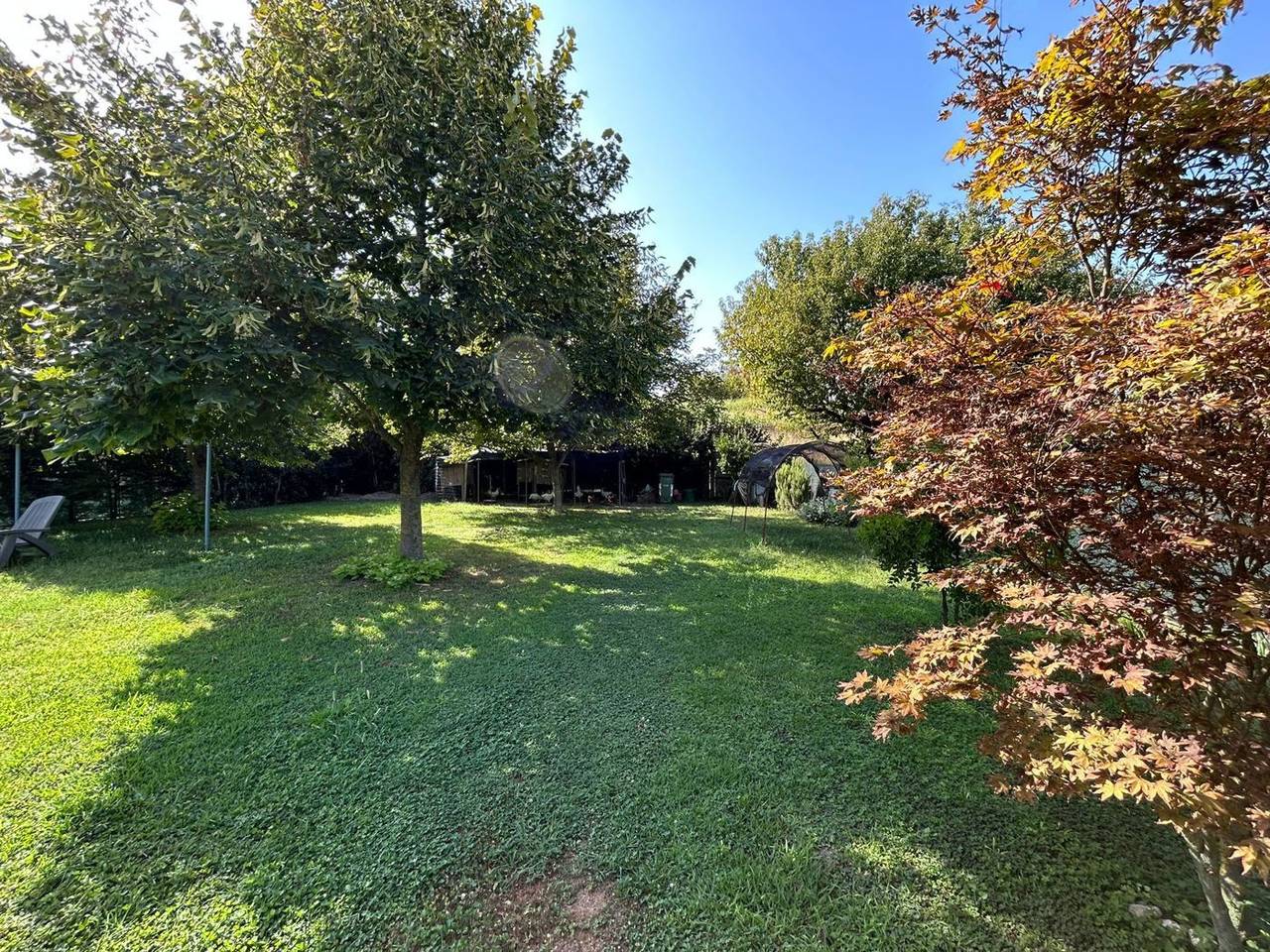 immagine annuncio 8 di 11