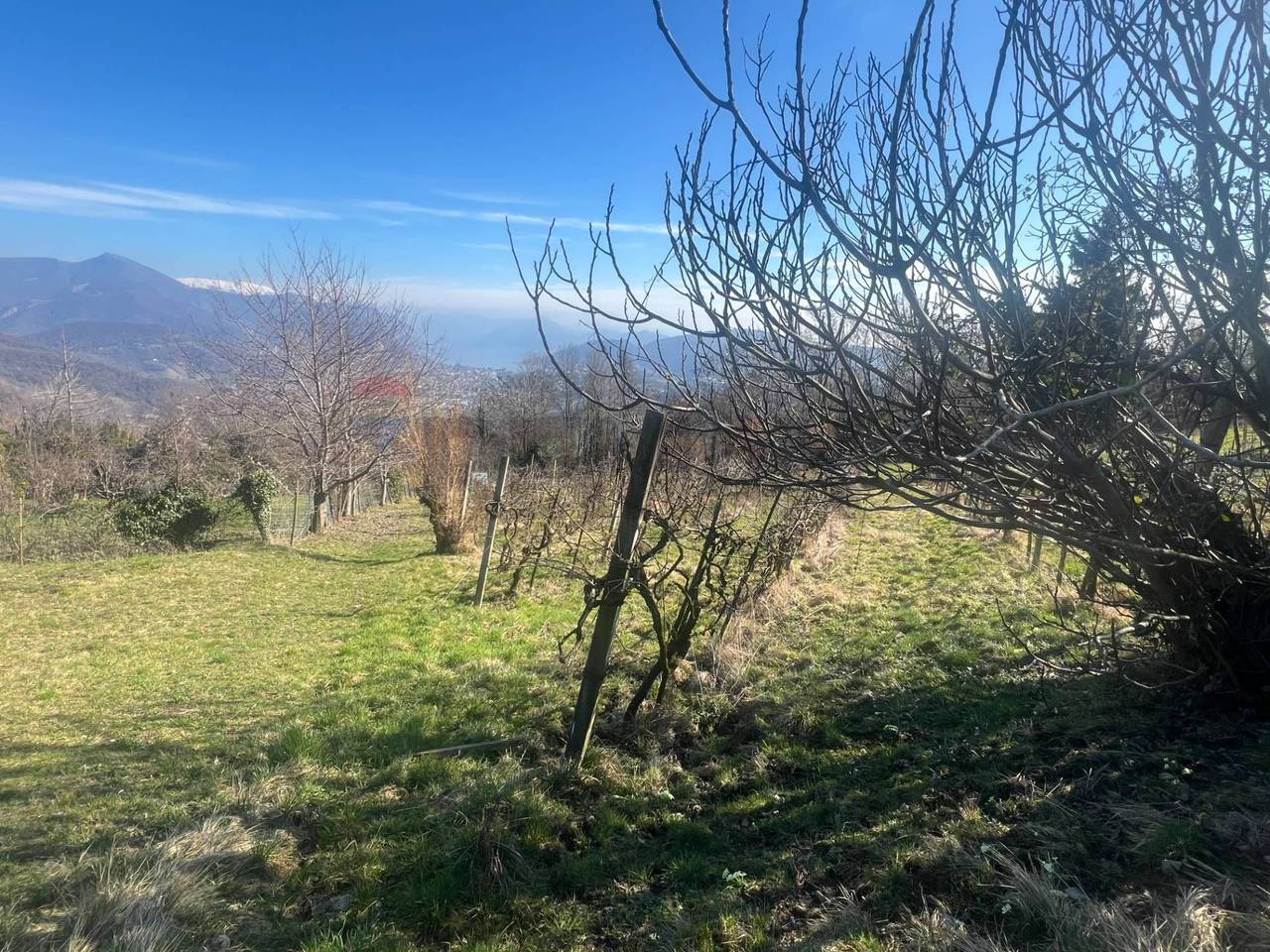 immagine annuncio 3 di 7