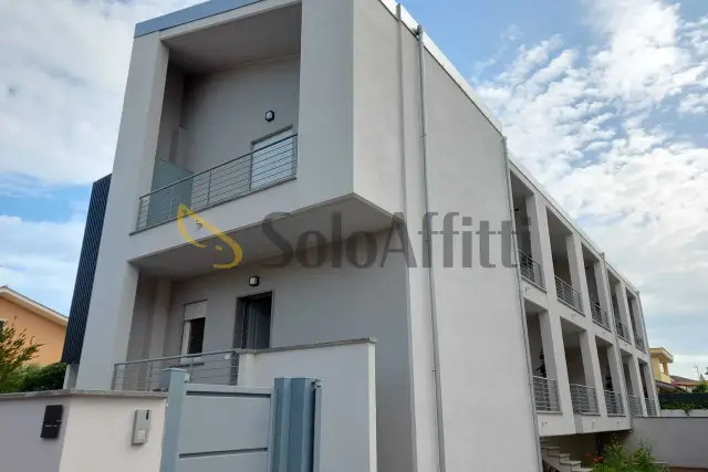 insertion image