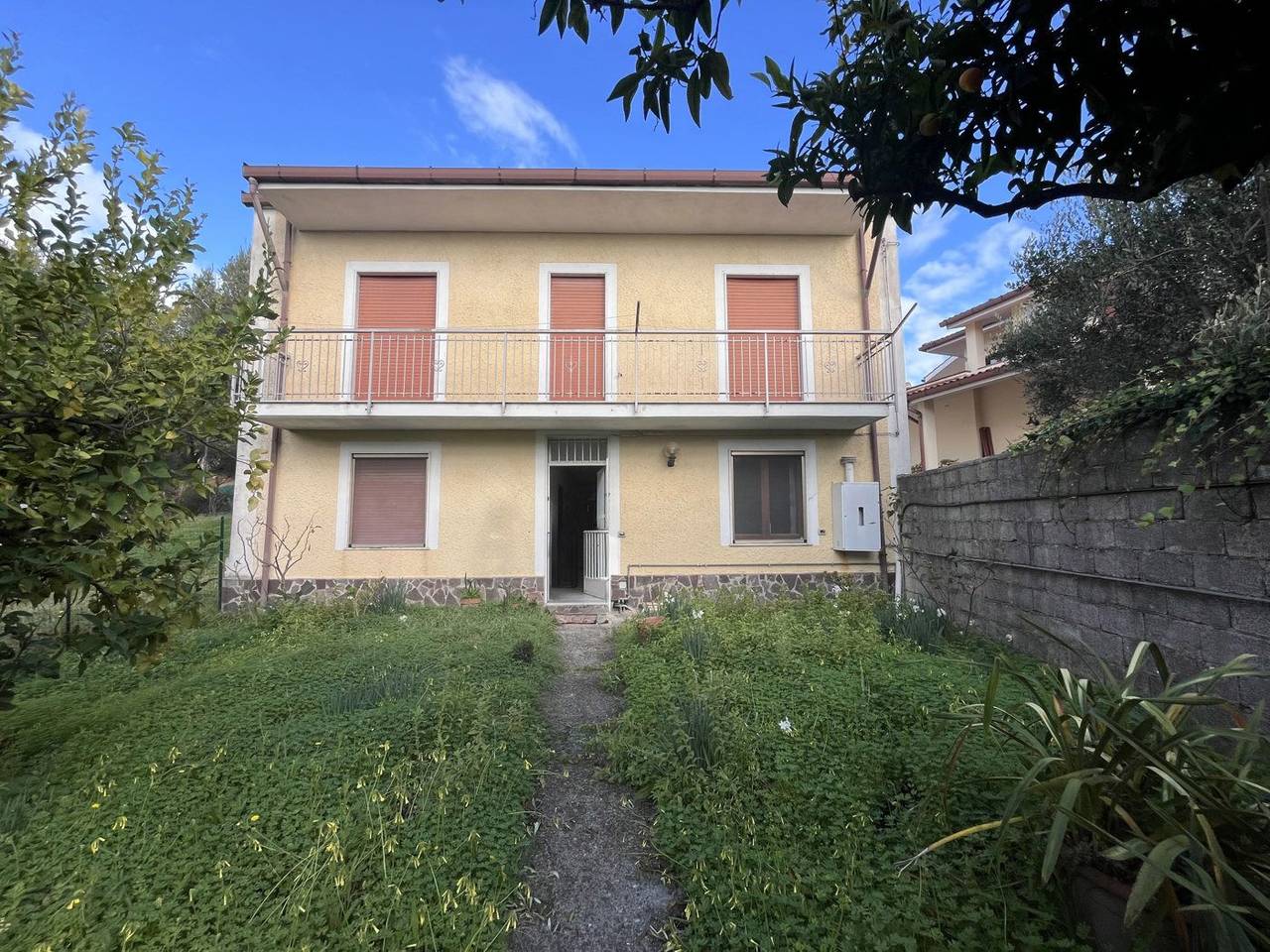 immagine annuncio 11 di 14