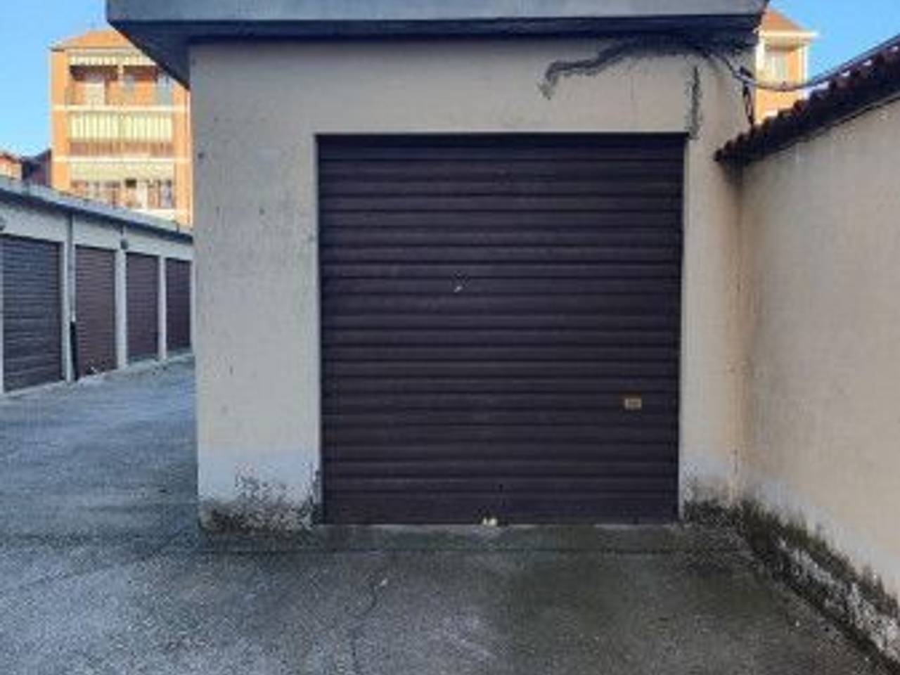 immagine annuncio 1 di 6