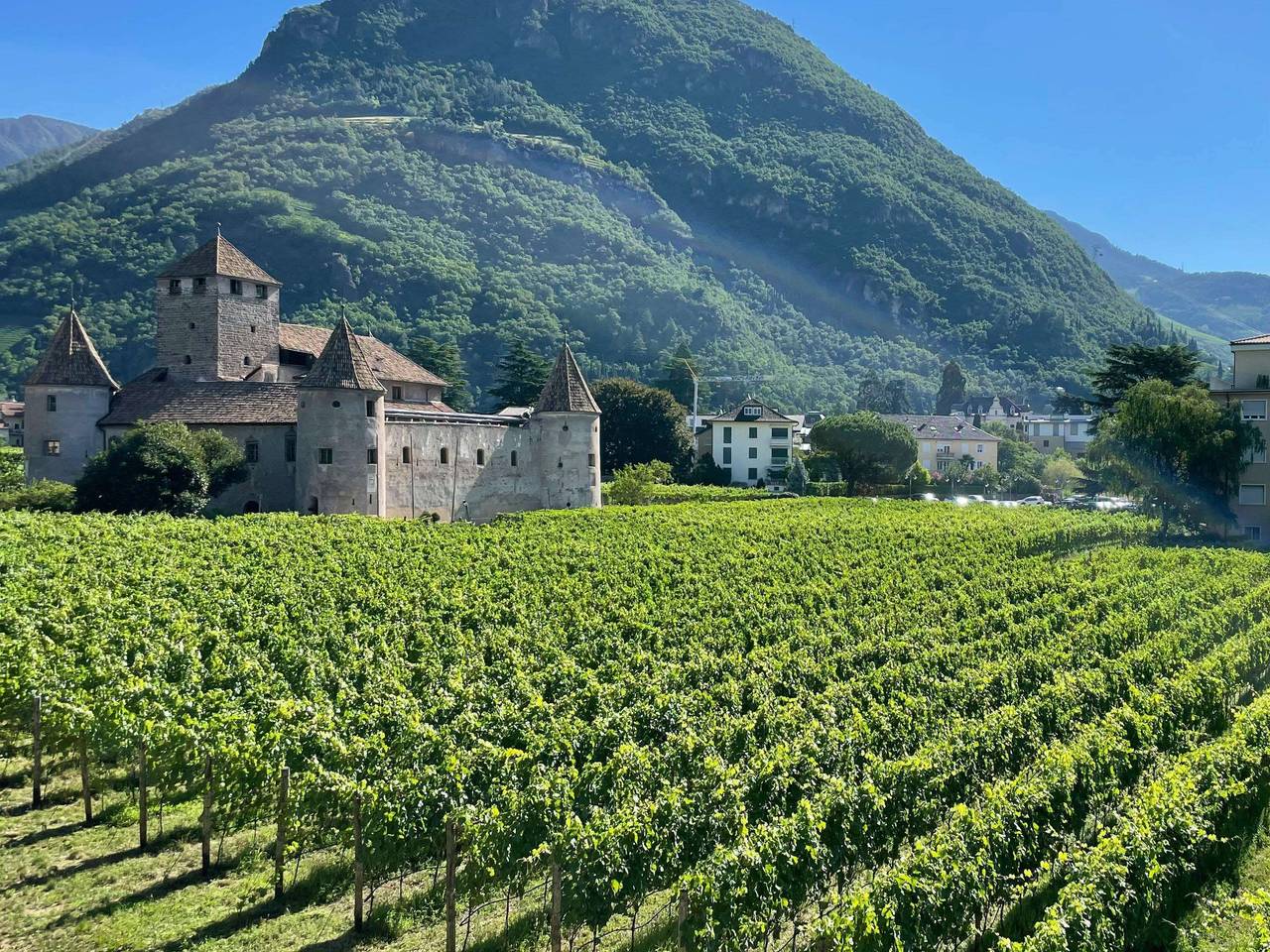 immagine annuncio 5 di 10