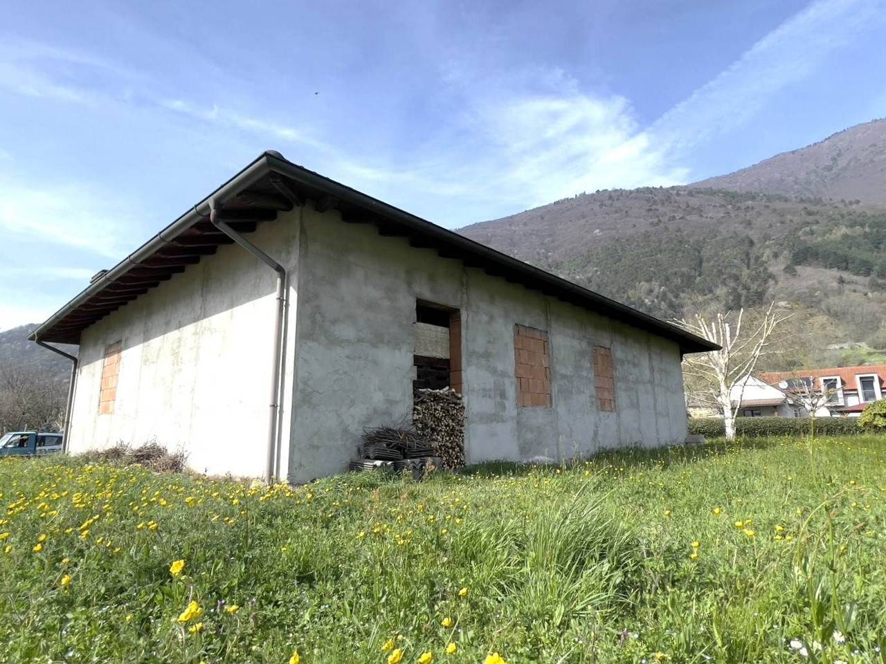 immagine annuncio 6 di 15