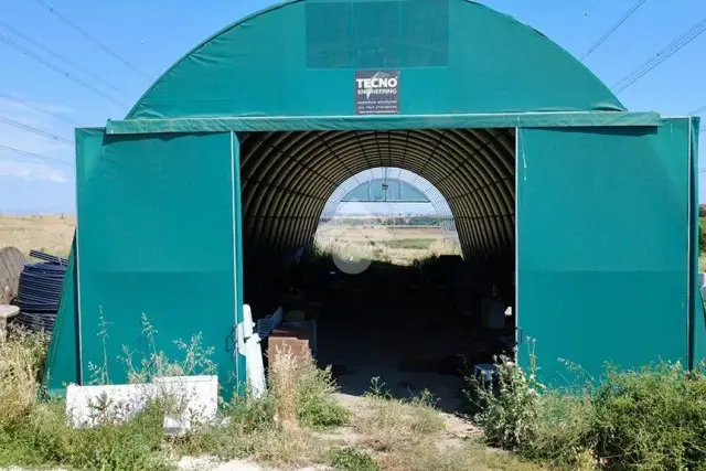 insertion image