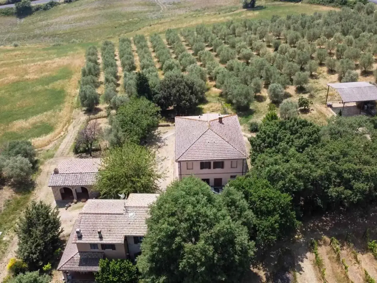 Azienda agricola in , San Quirico D'Orcia, {3} - Foto 2