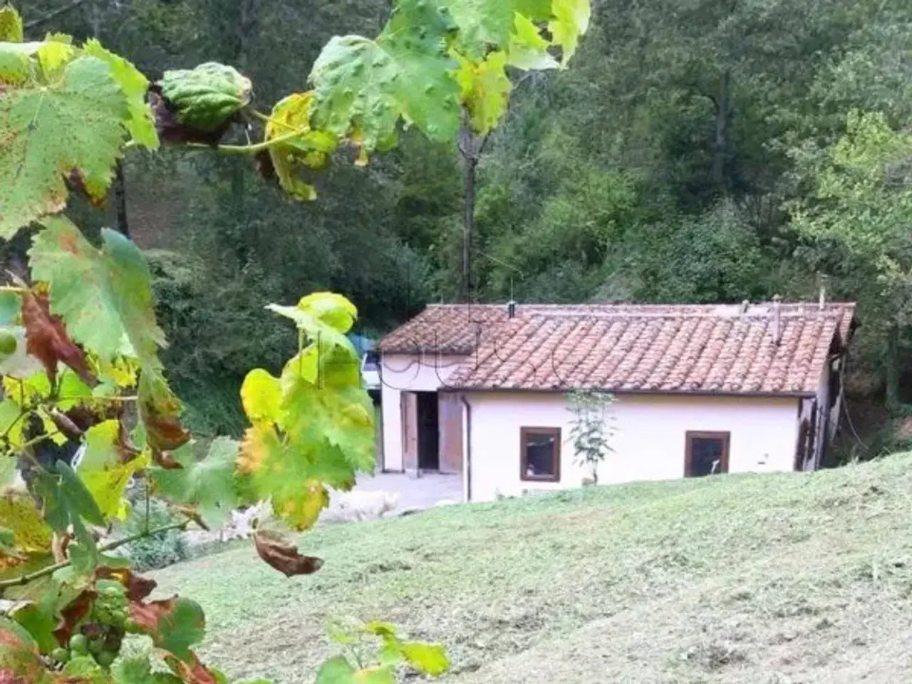 Capannone in Viale Giotto, Anghiari, {3} - Foto 1