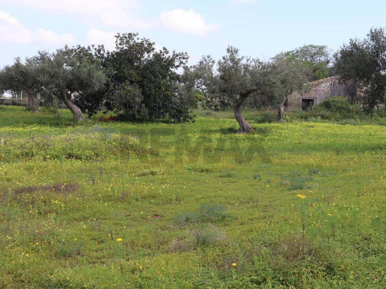 immagine annuncio 7 di 13