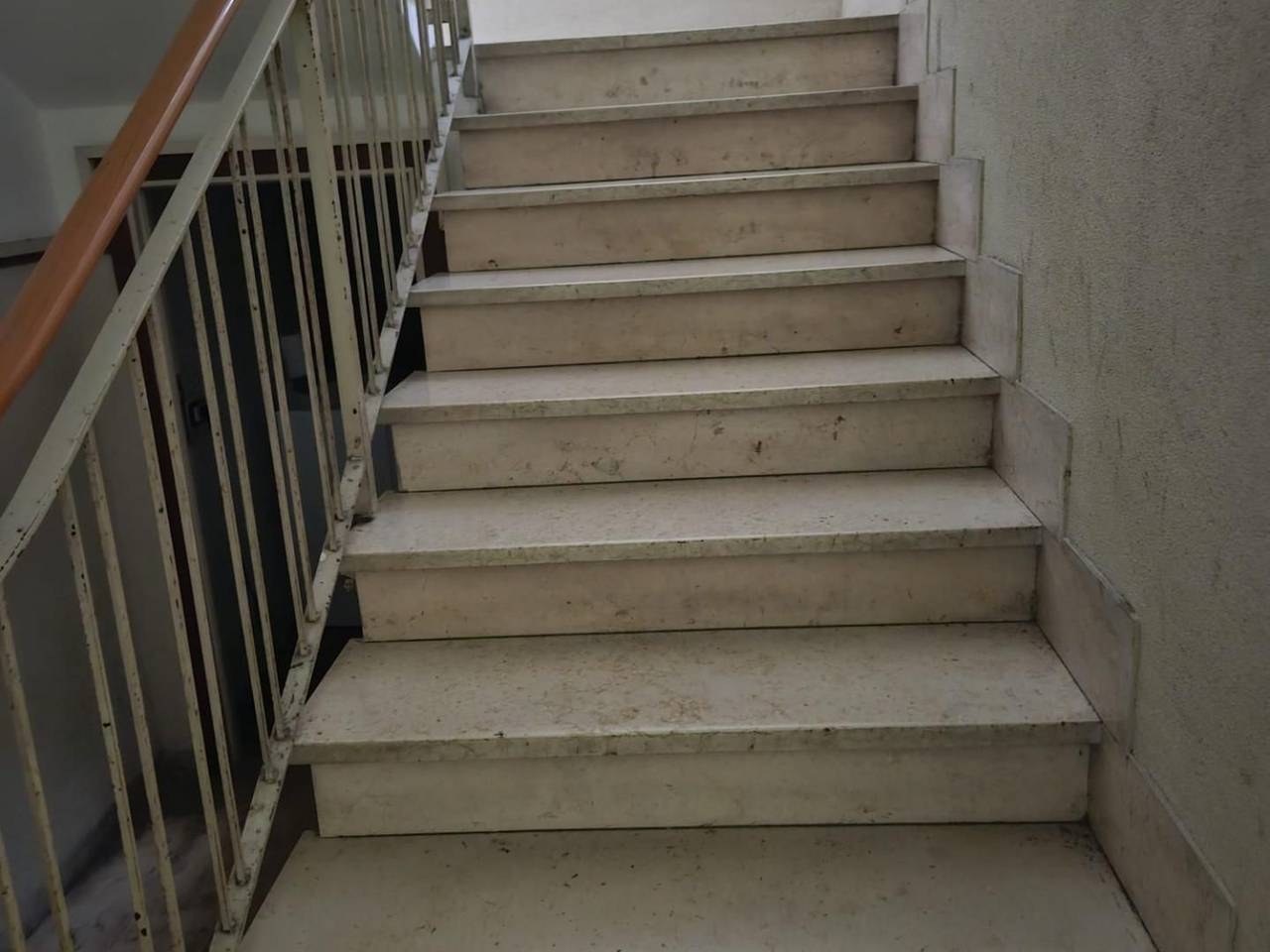 immagine annuncio 1 di 7