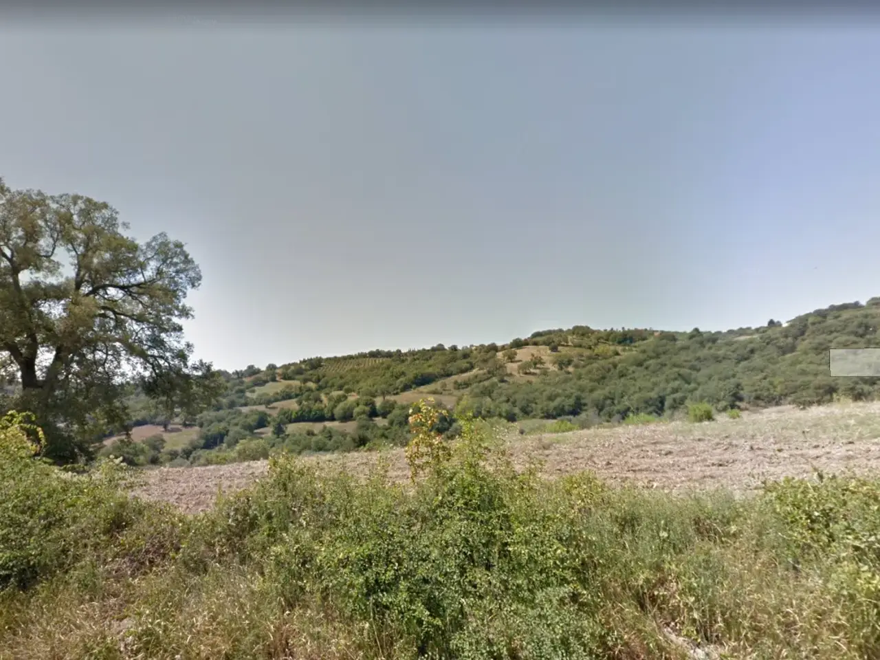 Azienda agricola in , Capalbio, {3} - Foto 1