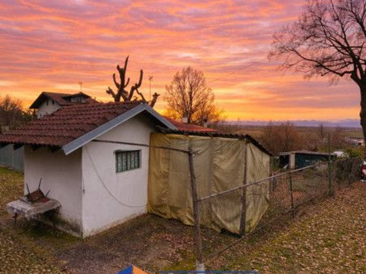 immagine annuncio 3 di 6