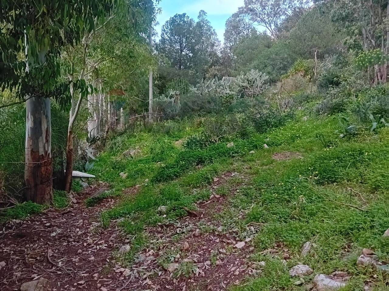 immagine annuncio 1 di 11