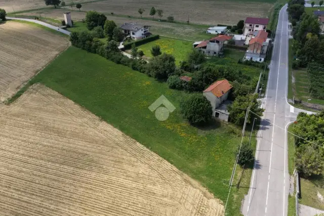 insertion image