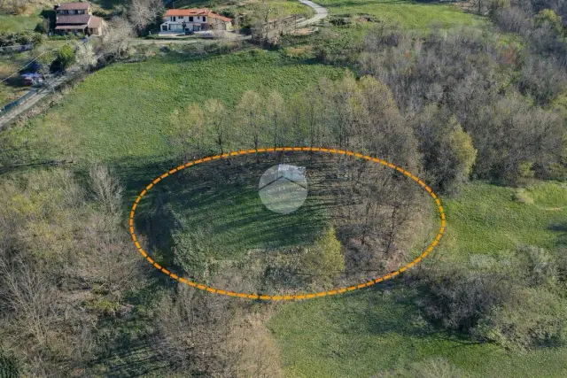 insertion image
