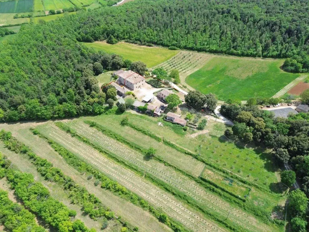 Azienda agricola in Bellaria, Monteriggioni, {3} - Foto 1