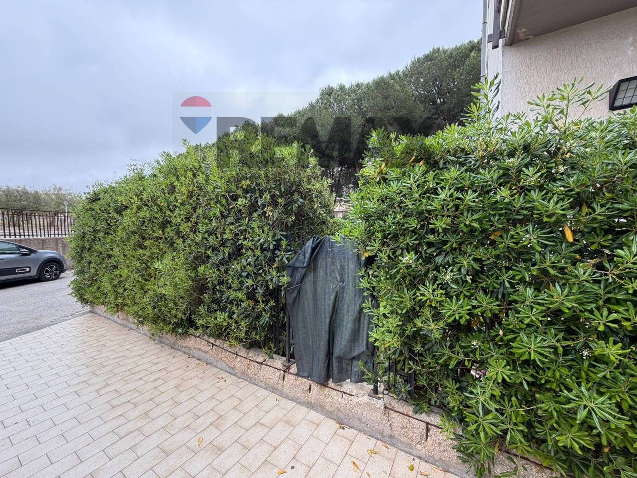 immagine annuncio 2 di 6