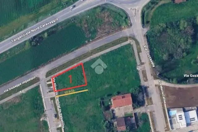 insertion image
