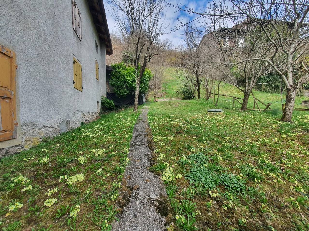 immagine annuncio 9 di 11