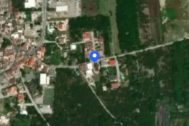 insertion image