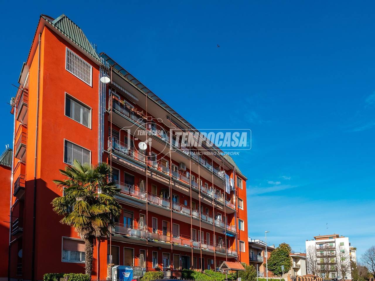 immagine annuncio 9 di 11