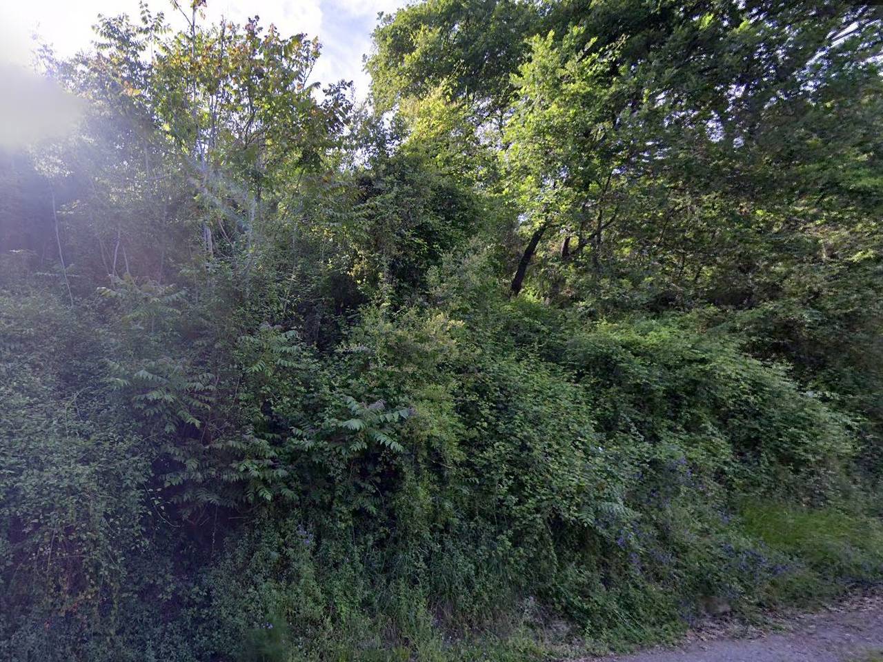 immagine annuncio 3 di 6