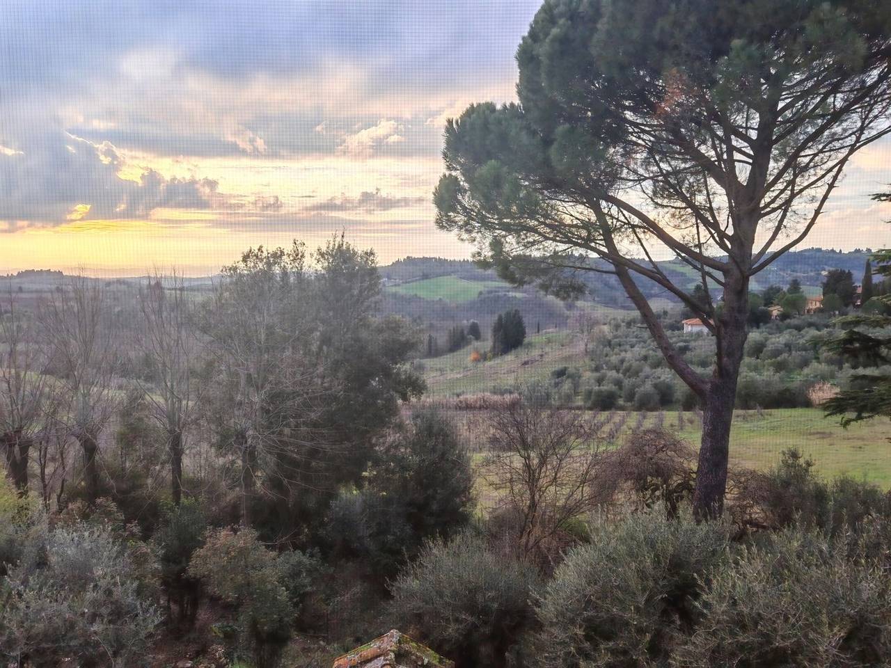 immagine annuncio 2 di 14