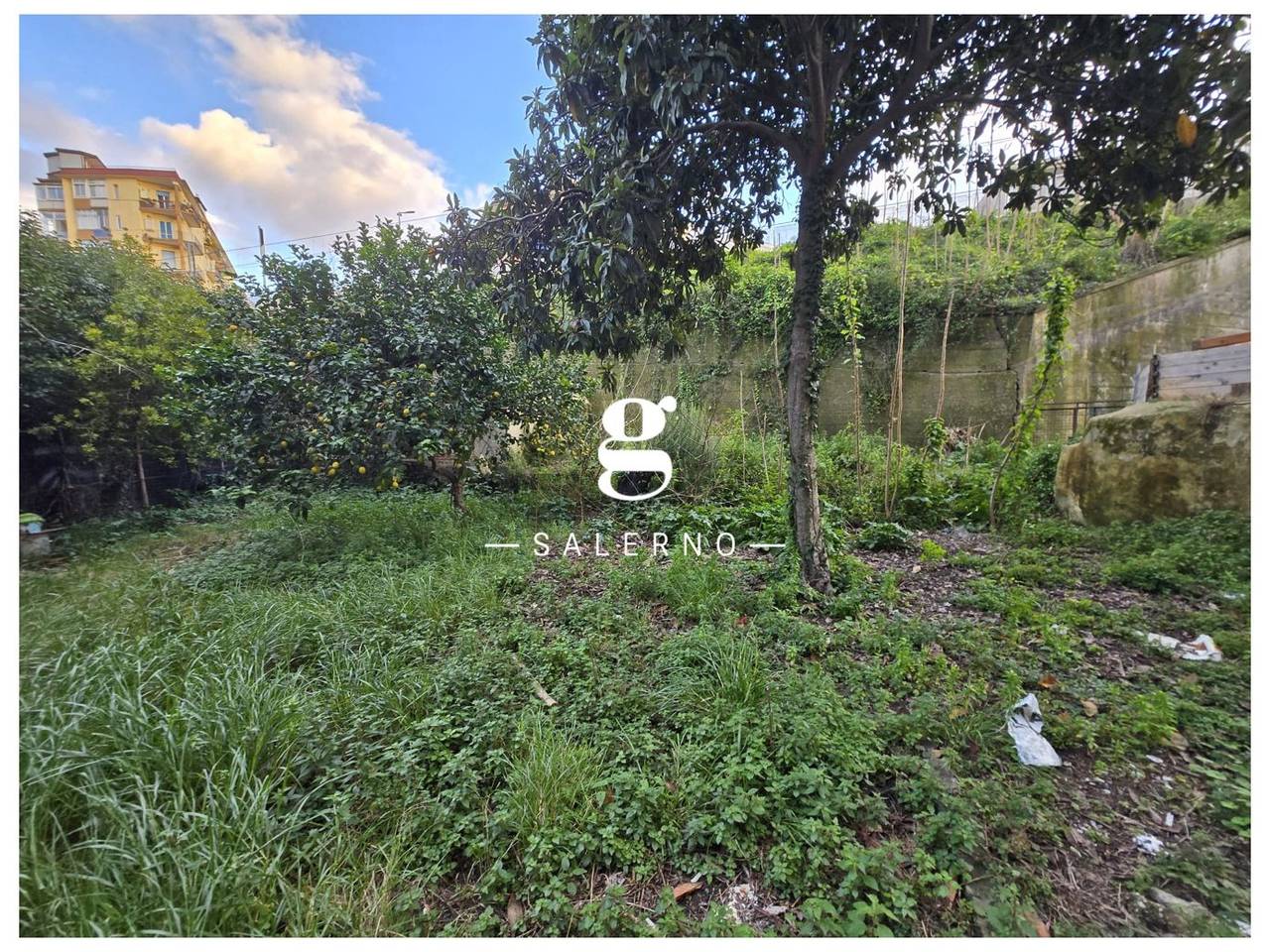 immagine annuncio 2 di 4