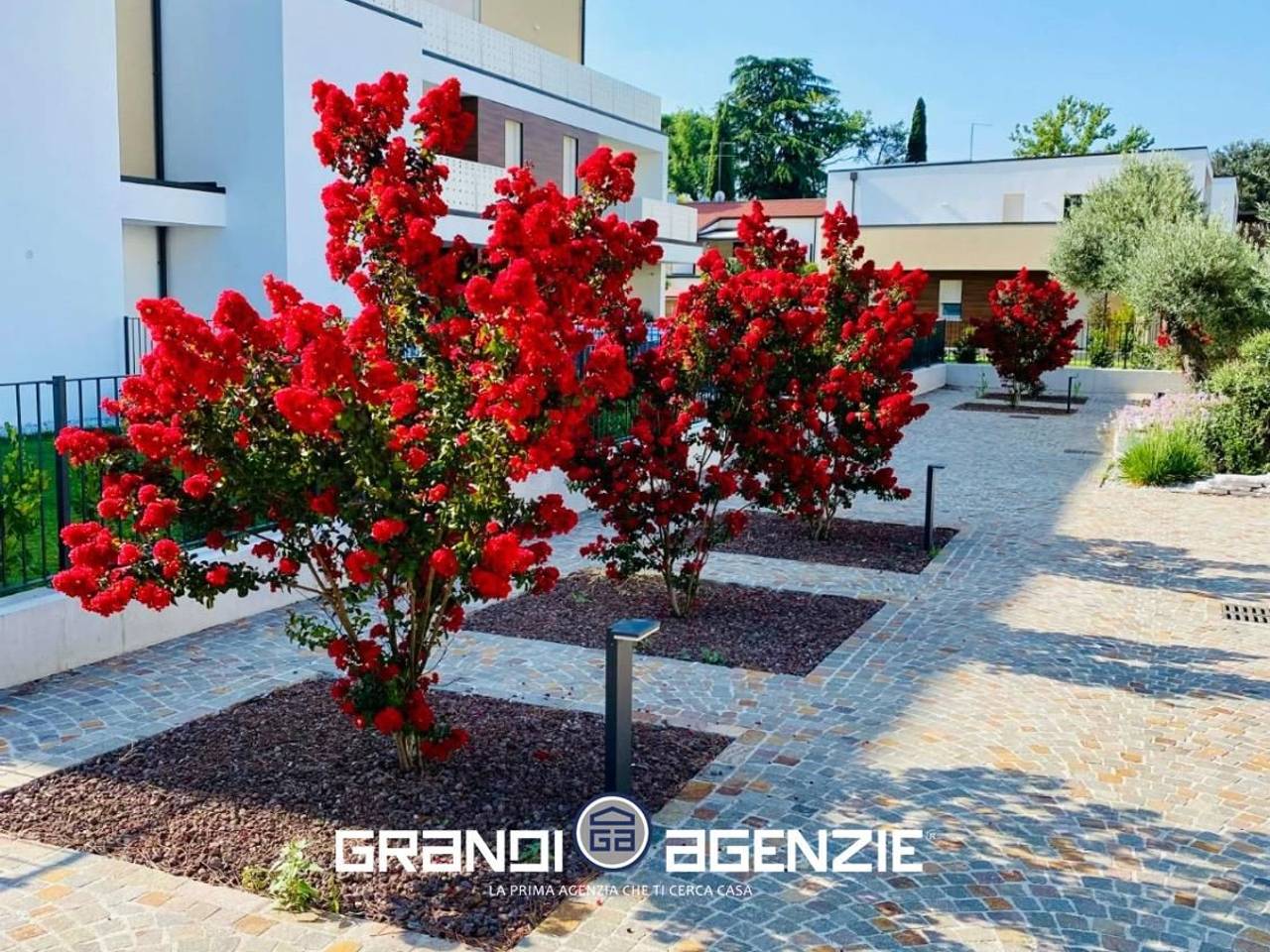 immagine annuncio 11 di 12