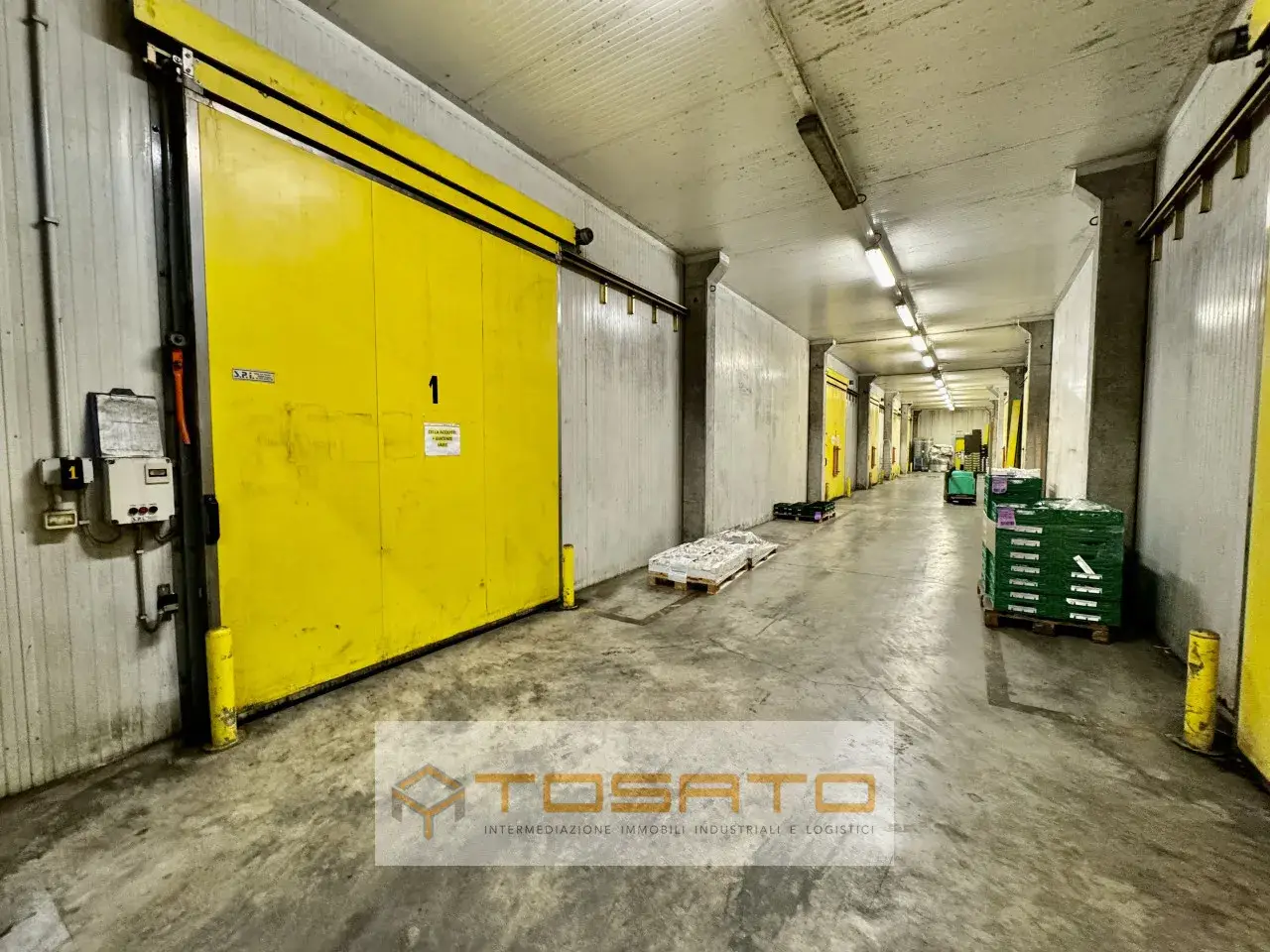 Capannone in , Vigasio, {3} - Foto 1