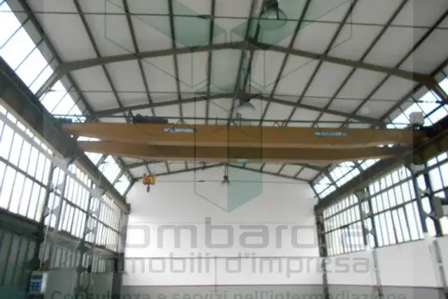 insertion image
