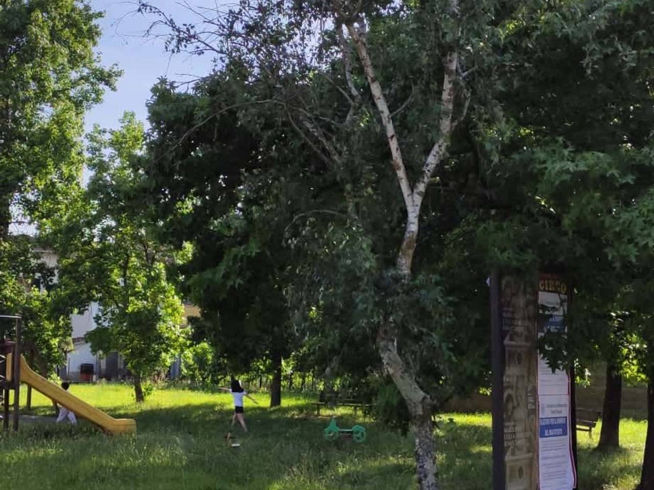 immagine annuncio 12 di 13