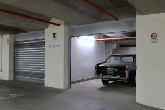 insertion image