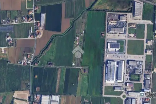 insertion image