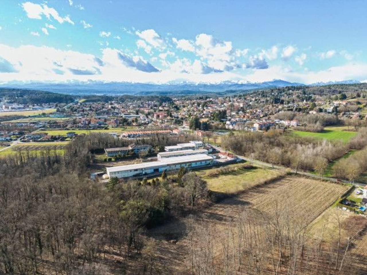 immagine annuncio 12 di 15