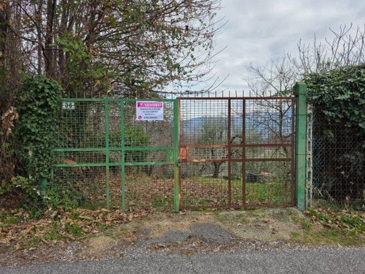 immagine annuncio 11 di 13