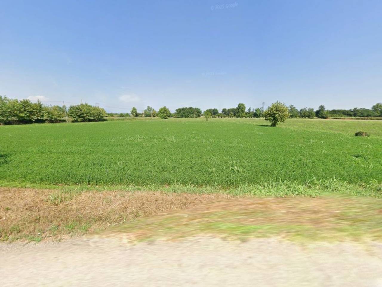 immagine annuncio 3 di 7