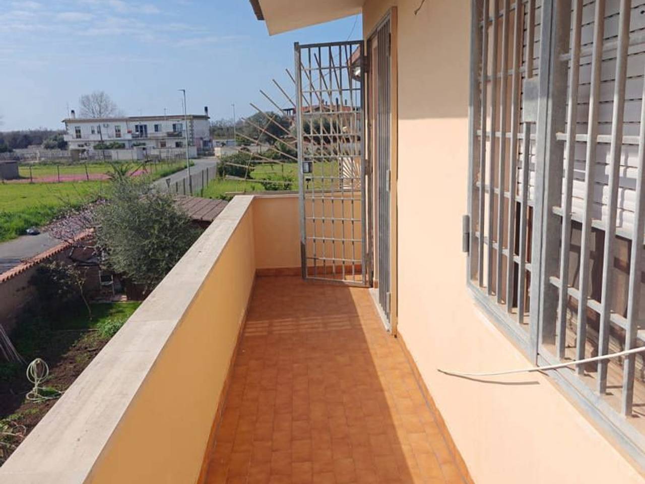 immagine annuncio 9 di 12