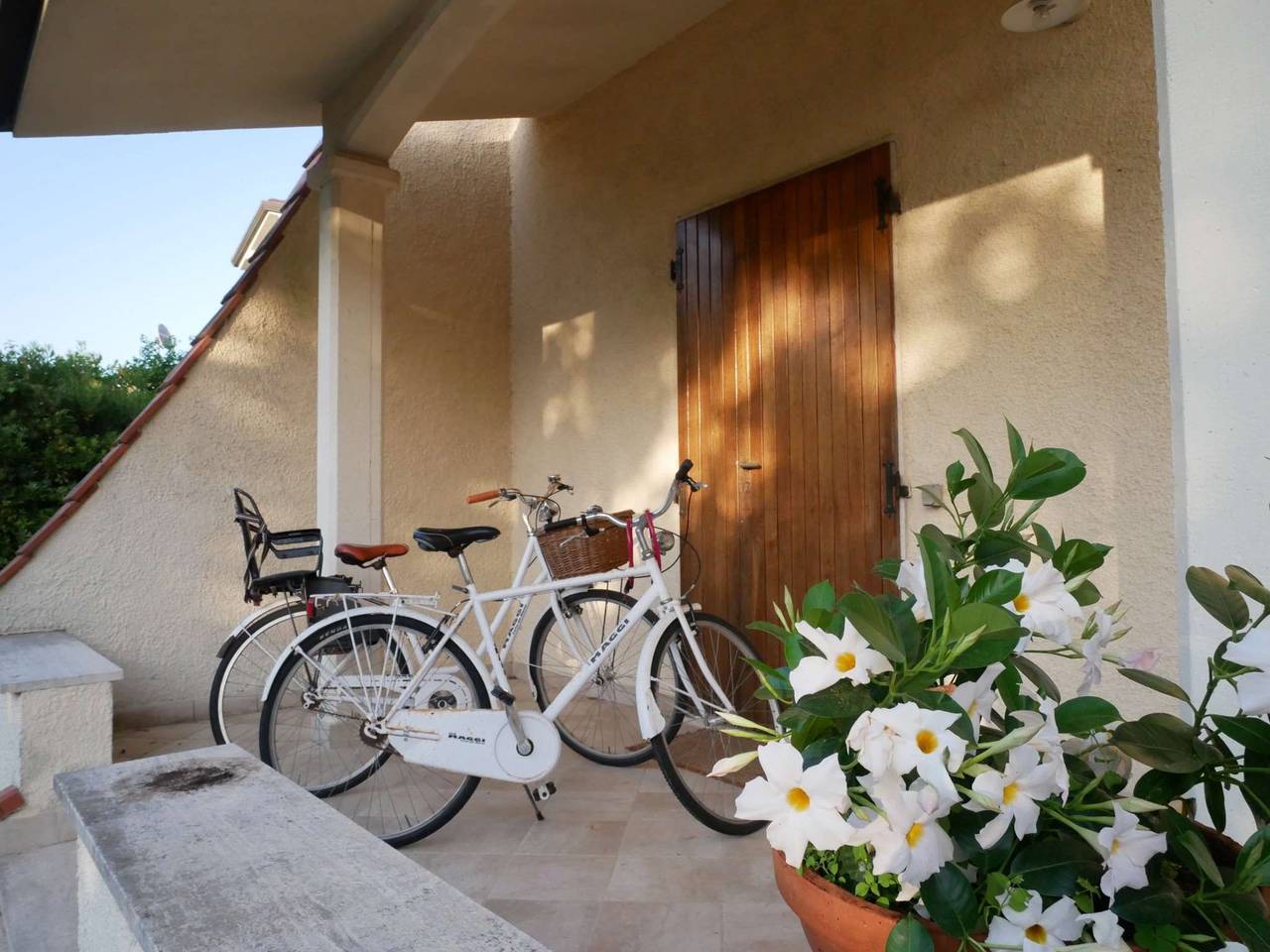 immagine annuncio 1 di 14