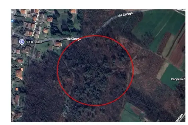 insertion image