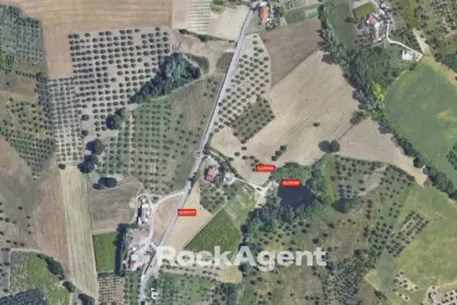 insertion image