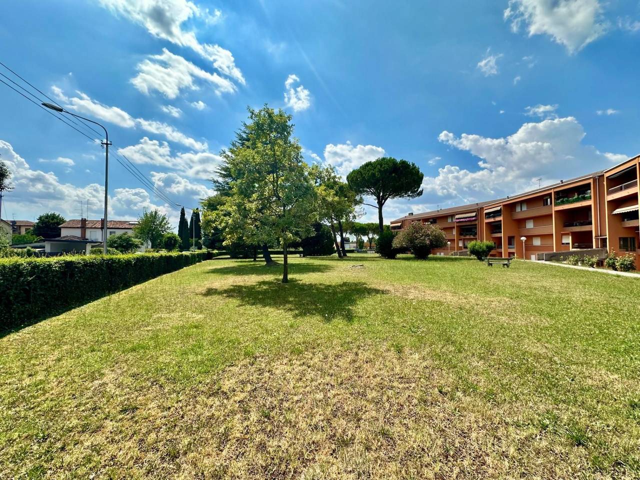 immagine annuncio 12 di 14